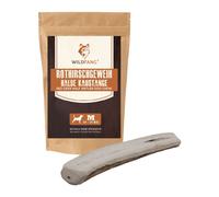 Corno da masticare di cervo rosso - mezzo bastoncino da masticazione -