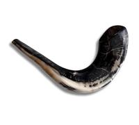 Corno di ariete originale Kosher completamente lucidato da Israele, strumento musicale ebraico facile da soffiare, prodotto in Israele da Spring Nahal (40,6 - 45,7 cm)