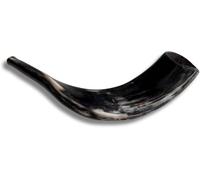 Corno di chofar Ram Kosher originale di Israele completamente lucidato, strumento musicale ebraico facile da soffiare, realizzato in Israele da Spring Nahal (35,6 cm - 40,6 cm)