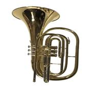 Corno Francese Esibizione Musicale Di Un Suonatore Di Corno Francese In Marcia Professionale(XJBR-950)