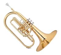 Corno Francese Per Principianti Melodia Del Corno Da Marcia Corpo In Ottone Sib Placcato Oro Gamma Baritono Francese Azione Fluida Della Valvola Durevole