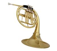 Corno Francese Professionale Corno Francese Di Alta Gamma A 3 Pulsanti In Ottone Laccato Oro Corno Francese A Tre Pulsanti A Fila Singola Con Accessori