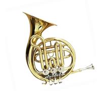 Corno Francese Professionale Strumenti A Fiato Mini Corno Francese Mini Corno Francese A 3 Tasti Corno Francese Tono F