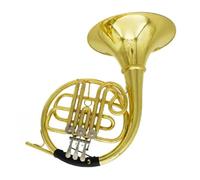 Corno Francese Professionale Strumento Di Corno Francese Diviso A 3 Tasti In Si Bemolle A Fila Singola Per Adulti, Tipo Professionale, Corno Francese Con Custodia