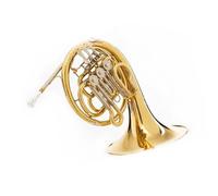 Corno Francese Professionale Strumento In Ottone Corno Francese Fila Singola 3 Tasti Tono Sib Ottone Giallo Corno Francese Laccato Oro Con Custodia