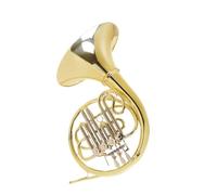 corno francese strumento musicale Corno In Si Bemolle Per Banda D'esame Singola Che Suona Il Corno In Si Bemolle Singolo