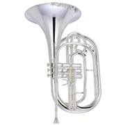 Corno Francese Strumento Musicale Pistone In Acciaio Inossidabile Per Corno Francese Da Marcia Placcato Argento Con Custodia