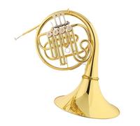 Corno Francese Strumento Musicale Strumento Professionale In Corno Di Ottone Adatto A Principianti E Adulti