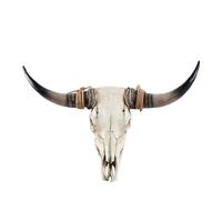 Corno lungo Bisonte Decorazione da parete con teschio di toro Decorazione da parete con teschio di mucca Sculture di testa Placca da muro Ornamenti artigianali Decorazione di corna di toro Scultura in