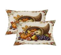 Cornucopia - Set di 2 federe per cuscini autunnali, rustiche, con cerniera nascosta, motivo zucche autunnali, arancioni, con cerniera nascosta, per soggiorno, camera da letto, loft, ufficio, auto