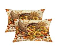Cornucopia - Set di 2 federe per cuscini, rustiche, girasole, zucche, con cerniera nascosta, decorative, per soggiorno, camera da letto, loft, ufficio, auto, 50 x 30 cm