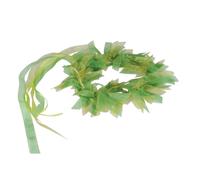 Corona della fata della bestia