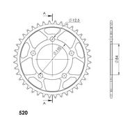 CORONA IN ACCIAIO P520 - Z40 (DIS.10521)