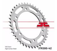 Corona JT SPROCKETS Pignone 42