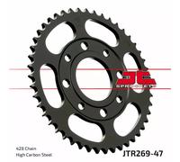Pignone posteriore JTR 269,47