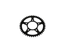 Corona posteriore zincata nera indurita per induzione JT SPROCKETS 525 42
