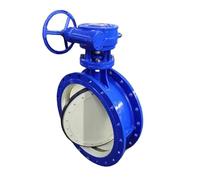 Corpo acqua WCB a doppia flangia tre con valvola a farfalla tripla eccentrica con ingranaggio a vite senza fine(MEDIUM PRESSURE_2 IN)