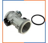 NTY ETB-RE-008 Corpo farfallato