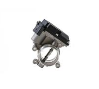 HITACHI 2508509 Corpo farfallato