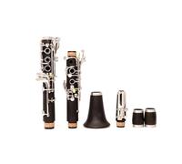 Corpo In Bachelite Tono C Chiavi In rame Bianco Nichelato Strumento Per Clarinetto Con Custodia