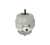 TEDGUM TED86930 Sospensione, Motore per AUDI