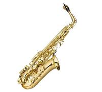 Corpo In Ottone Laccato Oro Superficie Sassofono Contralto Sax Mi Bemolle Con Custodia E Accessori Sassofono per principianti Kit