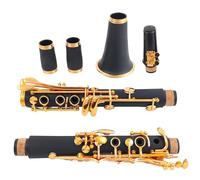 Corpo In Tubo Di Resina ABS Laccato Oro 17 Tasti Clarinetto Tono In Sib Con Borsa In Tela E Accessori Clarinetto per Principianti
