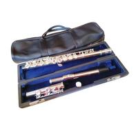 Corpo Placcato Argento Cupronichel 16 Fori Fori Chiusi Strumento Flauto Traverso Chiave C Con Chiave Mi Flauto Traverso per Principiante