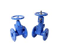 Corpo resiliente del DI dei mezzi dell'acqua della valvola a saracinesca della sede resiliente dello stelo in aumento manuale DN80 con il volantino 2CR13