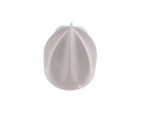 CORPO SPREMITORE SPREMIAGRUMI