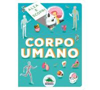 Corpo umano. Alza e scopri