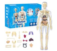 Corpo Umano Modello Anatomico, Scheletro Anatomico, Corpo Umano per Bambini, Scheletro Umano, Corpo Umano per Comprendere la Struttura del Corpo Umano, per la Ricerca Medica, per Scopi Didattici, ecc
