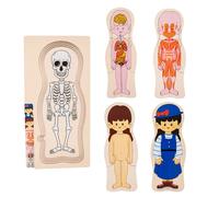 Corpo umano per bambini, giocattoli anatomia per bambini | Anatomia per bambini | Apprendimento di giochi creativi realistici per il puzzle realistico per la scienza in classe di laboratorio di scuola