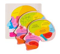 Corpo Umano per Les, Anatomy Toys, Modello del Corpo Umano per Les, Imparare Giochi creativi realistici per studio giudiziario Scientifico della Classe di Laboratorio prescolare al