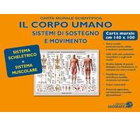Corpo umano. Sistema scheletrico e muscolare. Carta murale scientifica. Ediz. a colori