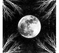 Corpus Christii Pale Moon Album