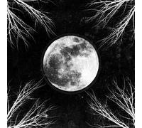 CORPUS CHRISTII - PALE MOON