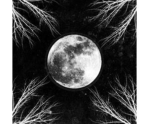 Corpus Christii - Palemoon