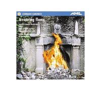 Corrado Canonici, Sarah Leonard, Anton Lukoszevieze - A Roaring Flame