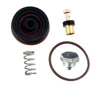 Corredi di riparazione del regolatore del compressore d'aria N008792 per i modelli D55155 D55167 D55684 1WC94 C006 Riparazione del regolatore del compressore d'aria