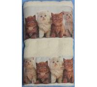 Corredocasa Coppia Asciugamani Spugna Cotone 100% Made in Italy, Set 2 Asciugamani Bagno Viso e Ospite Fondo Panna con Varie Stampe, Morbidi Soffici e Assorbenti Ideali per Casa B&B, Regalo (Gatti)