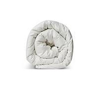 Corredocasa Interno Sacco Piumino Invernale Trapuntato in Microfibra Anallergico, Per Letto 1 Piazza e Mezza, 300 Grammi, Misura 200 x 200 cm - Comfort e Calore per le Notti Invernali Casa o Albergo