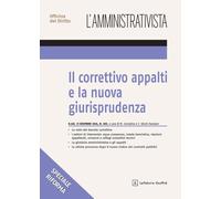 Correttivo appalti e la nuova giurisprudenza - d.lgs. 31 dicembre 2024 nr.209
