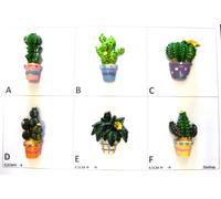 Corriere Exp. - 24 x Bomboniere Calamita Magnete Frigo Segnaposto CACTUS MISTI