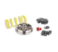 Corsa variatore Malossi Multivar per scooter, moto