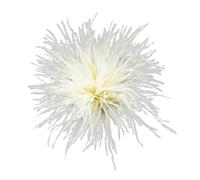 Corsage Di Piume Spille con piume, spille, di struzzo, accessori for gioielli(Color-15)