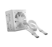 CORSAIR RM850e ATX 3.1 Low-Noise ATX Power Supply with ThermalProtect 12V-2x6 Cable - White (EU)