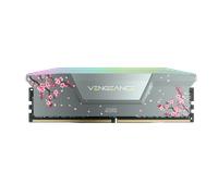 CORSAIR VENGEANCE® RGB 32GB (2 x 16GB) DDR5 DRAM Up To 6000MT/s CL38 AMD EXPO & Intel XMP Memory Kit Cherry Blossom Gray
