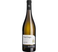 Cortaccia Pinot Grigio Alto Adige Doc 2024