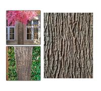Corteccia artificiale per alberi, ideale come rivestimento decorativo per